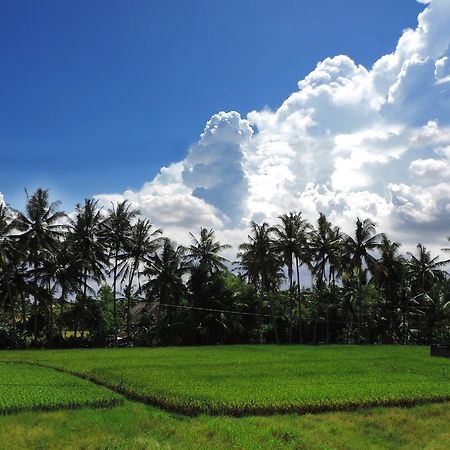 Pondok Ayu Soca Ubud Kültér fotó