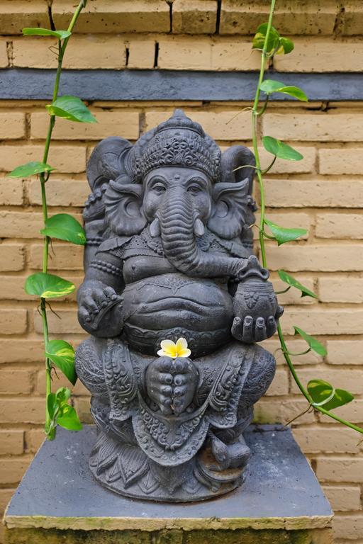 Pondok Ayu Soca Ubud Kültér fotó