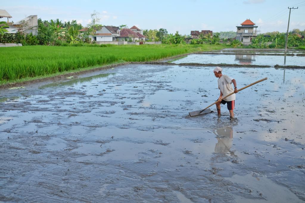 Pondok Ayu Soca Ubud Kültér fotó