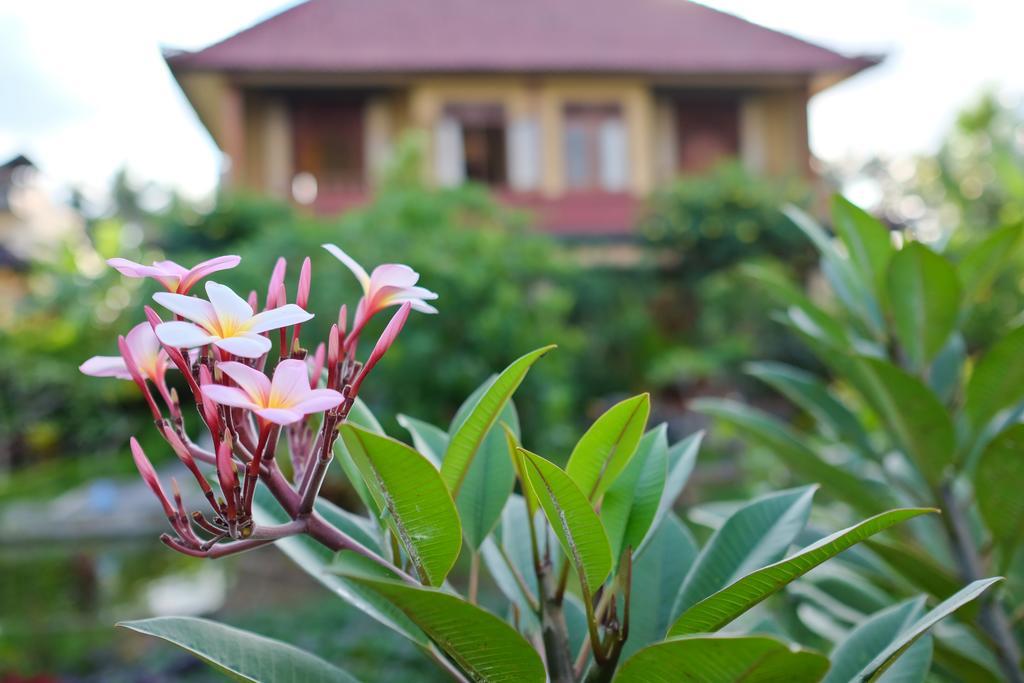 Pondok Ayu Soca Ubud Kültér fotó