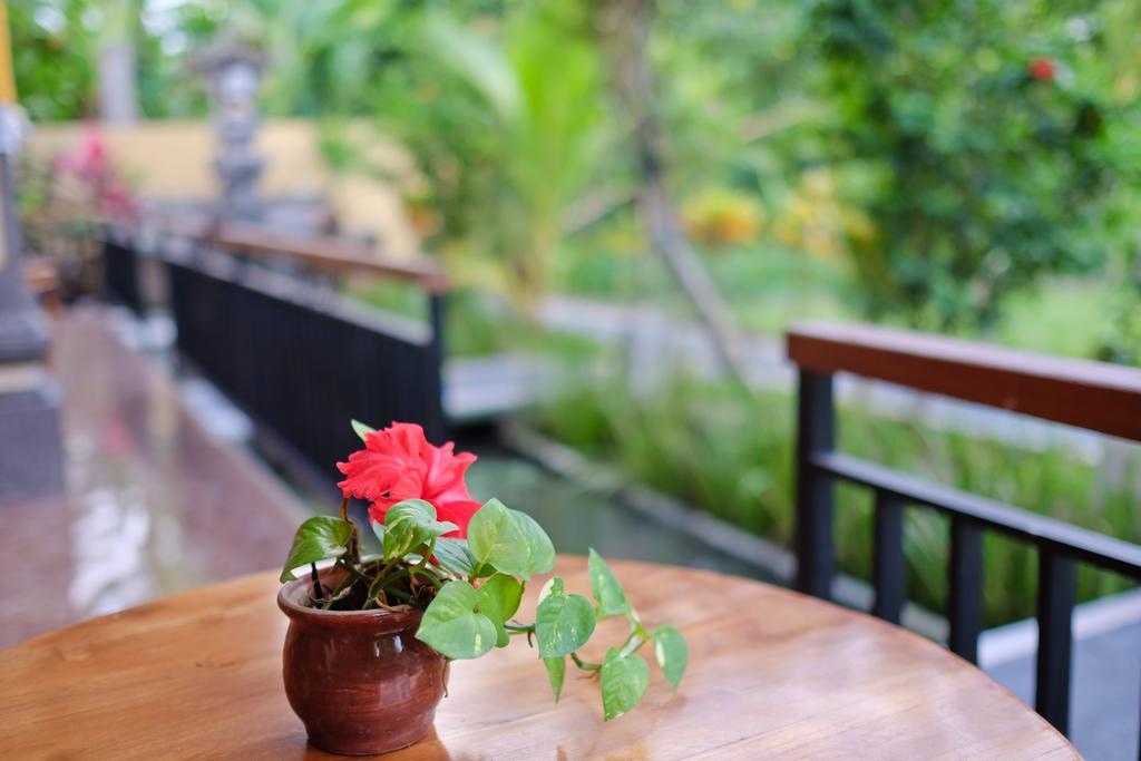 Pondok Ayu Soca Ubud Kültér fotó