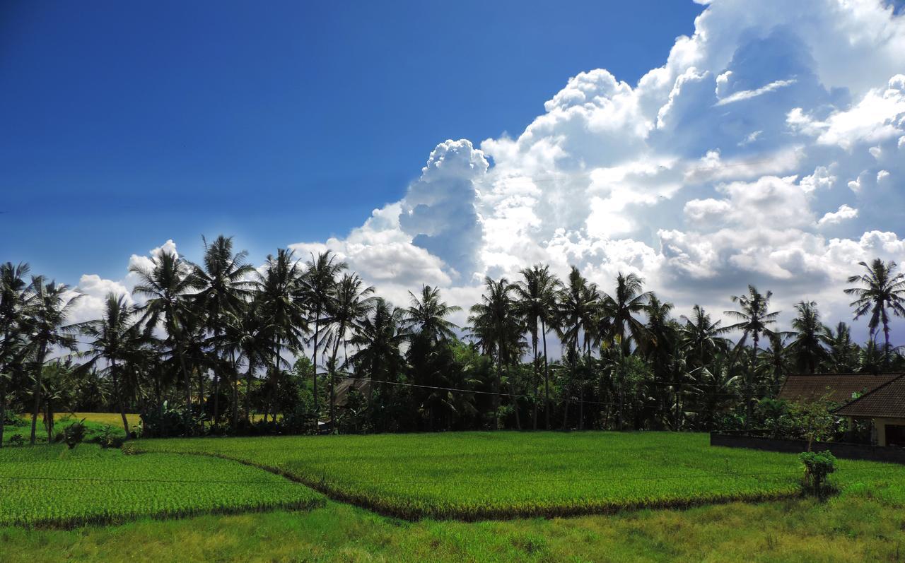 Pondok Ayu Soca Ubud Kültér fotó